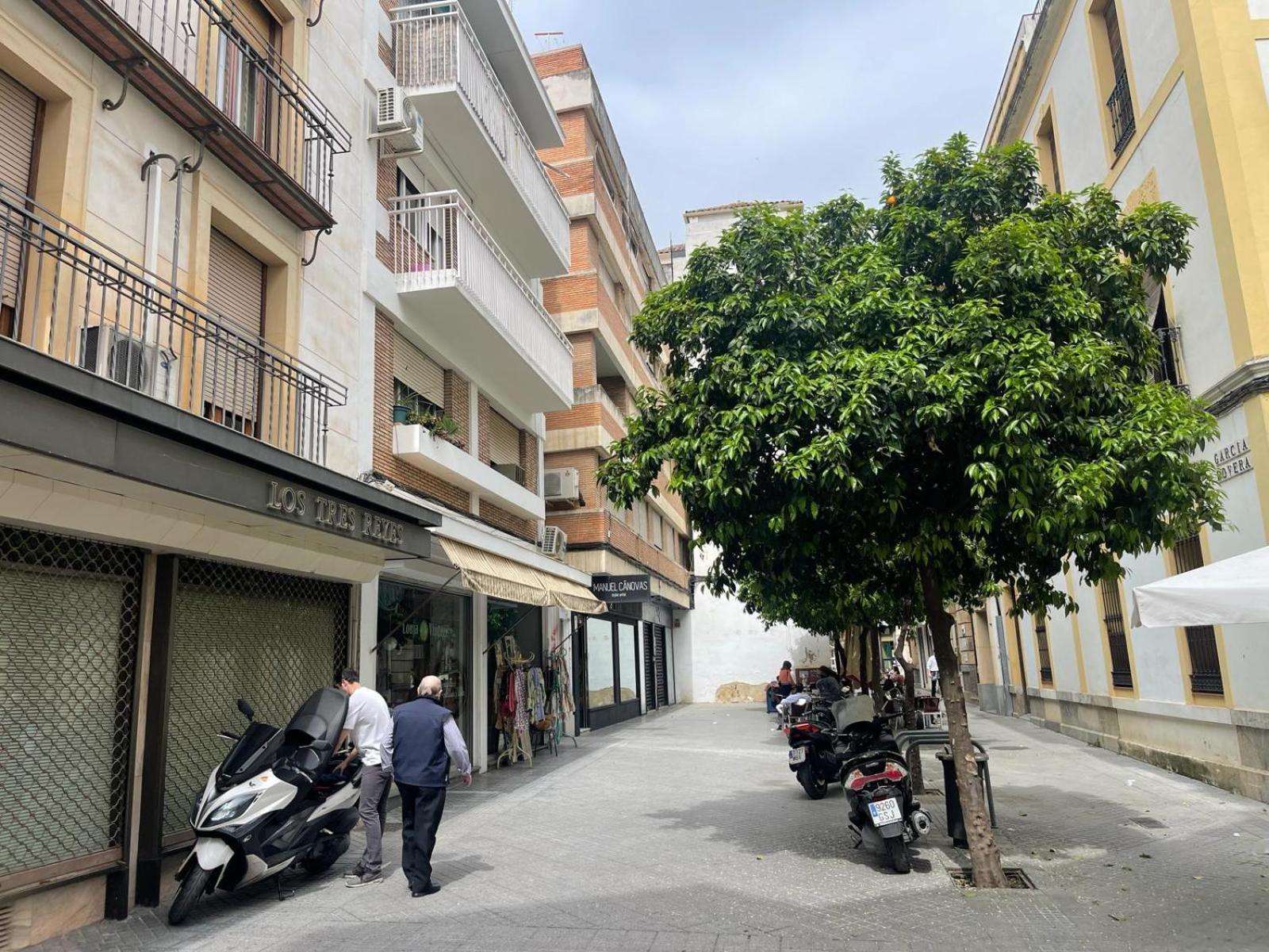 Apartamentos Azonaicas Centro Tendillas Kordoba Zewnętrze zdjęcie
